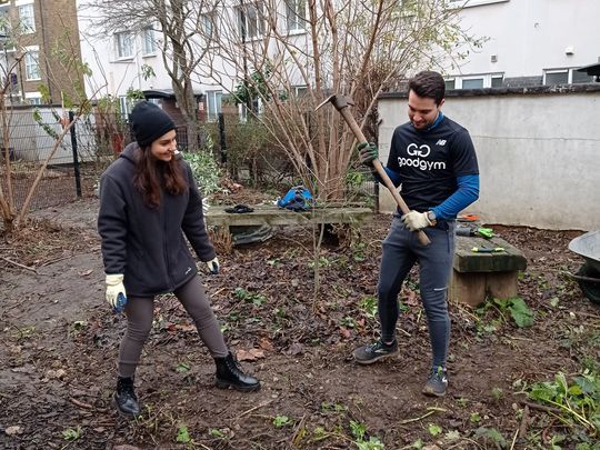 Buddleia bashing & rebellious roots