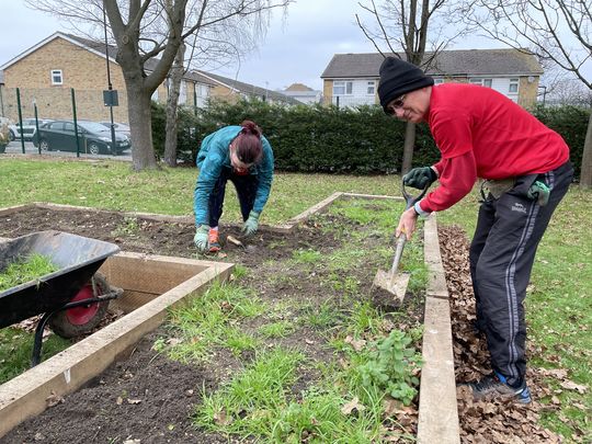 Planting bulbs... So the worms can see where they’re going!