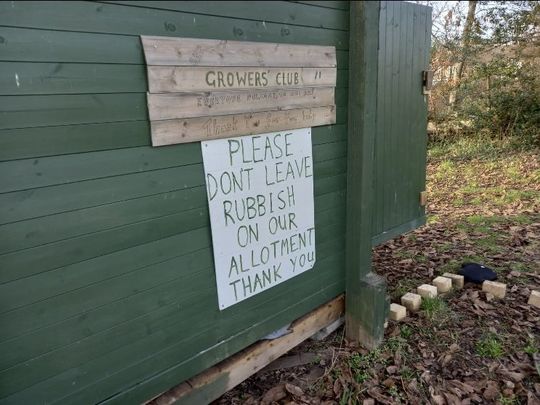 Litter Picking, Cloche Clearing and Eaves Dropping 