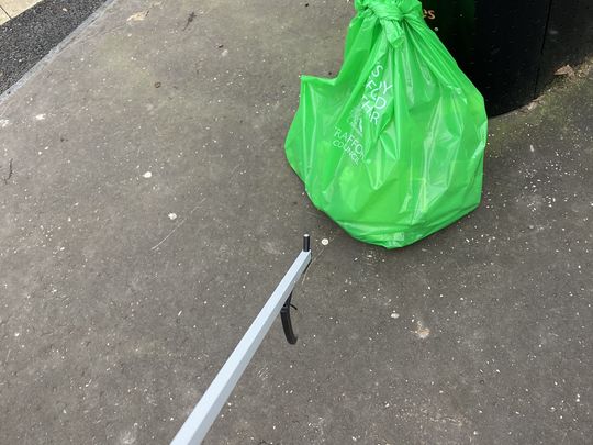 Litter pick