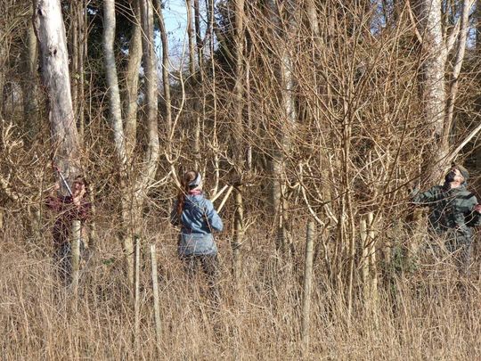 Laying hedges for FOAE and BBNP