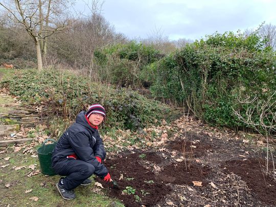 It's all about the compost 