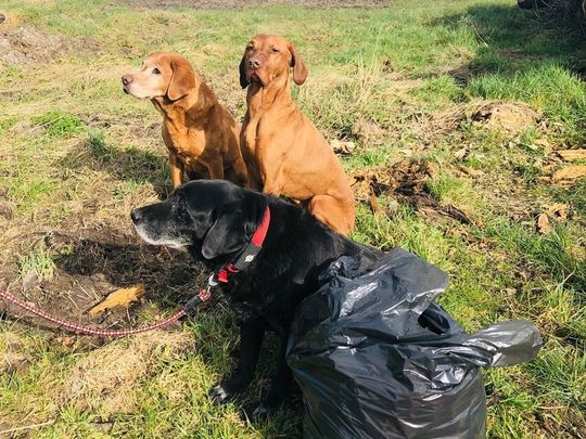 Litter Picking