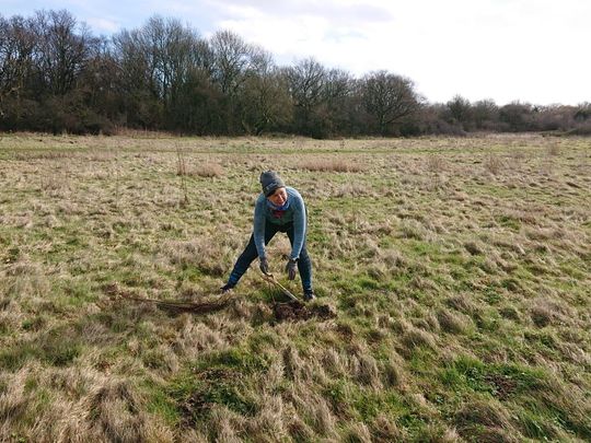 We had a field day at the community tree planting  with Coed Caerdydd !