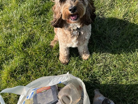 Lunch time litter pick 