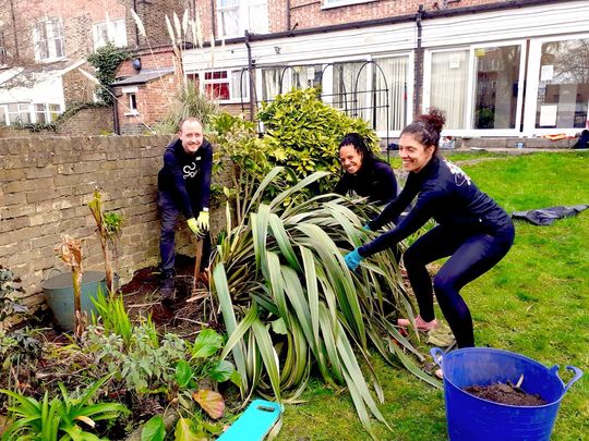 A Phormium Shared is a Phormium Halved