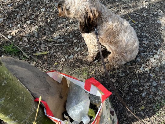 Litter picking with my best mate 