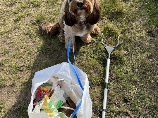 Litter pick with my new litter picker! 