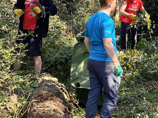 THERE WASN’T A SICKLE, THERE WERE LOADS OF BRAMBLES 