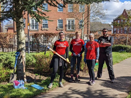 Edging our beds