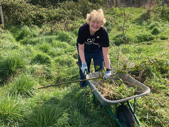 Clearing The Plot-makes a change from losing it. 