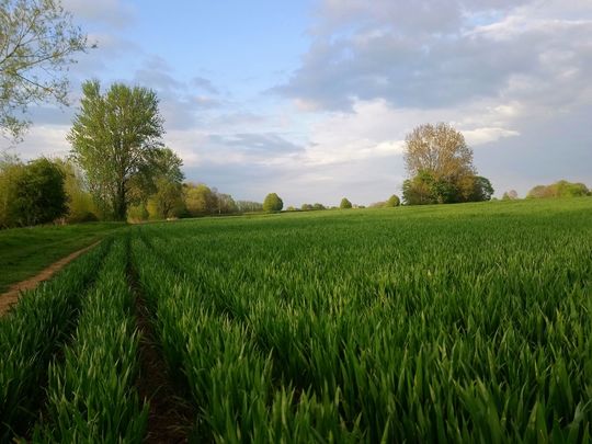 Walking Group - Cheery Cherwell