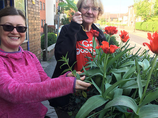 Sunny outing to water and weed community flower planters