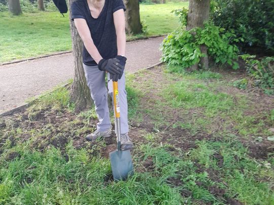 Gardening fun at Cator Park 