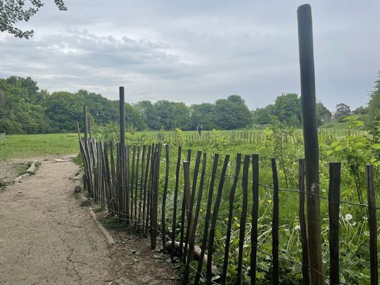 Fence and fensibility