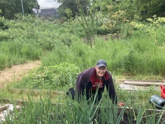 Ant-icipating The Herb Garden