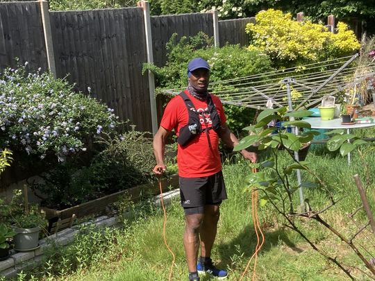 Garden Clearance On A Clear Day