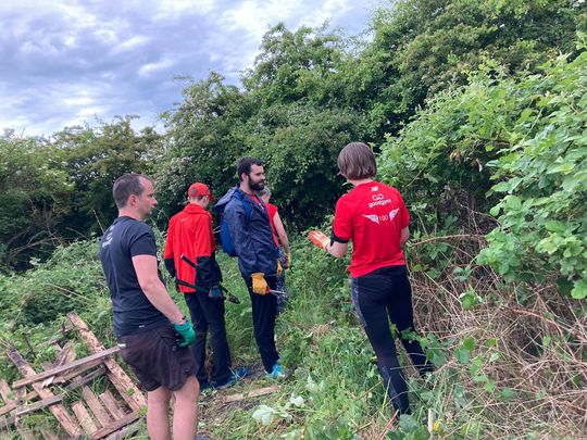 Barricades of Brambles