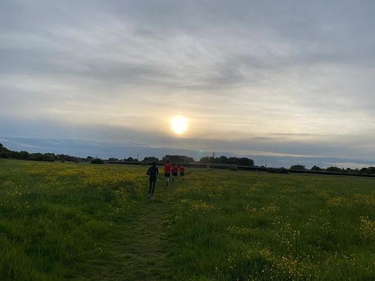 Goodgym Chelmsford - powerful ploughing & poignant punning 