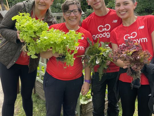 Trimming hedges and weeding at Hogsmill