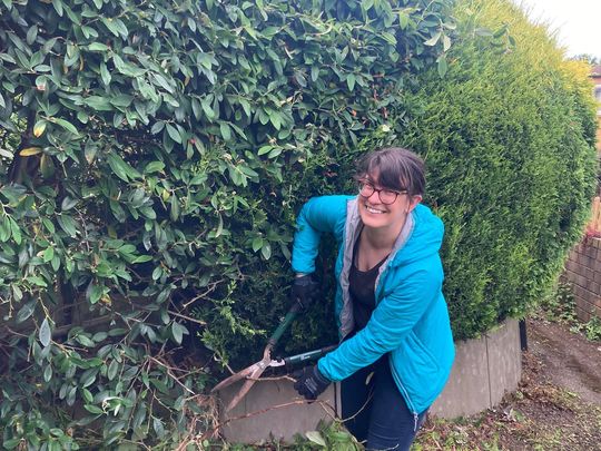 Hedge haircutting for Mr R 