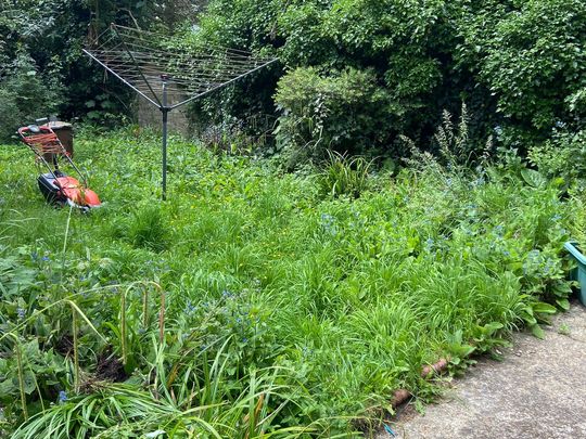 Two GoodGymmers went to mow a meadow