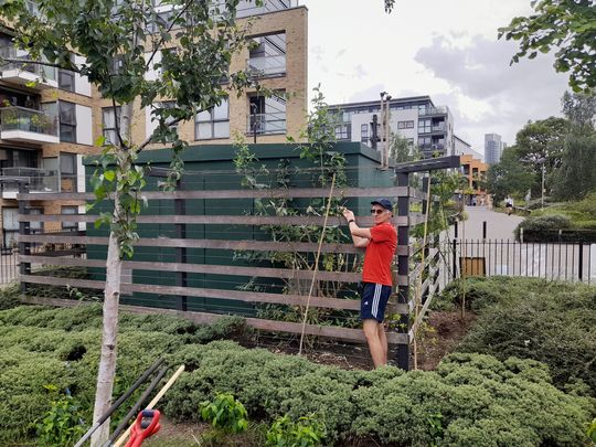 GoodGym Rose To The Occasion