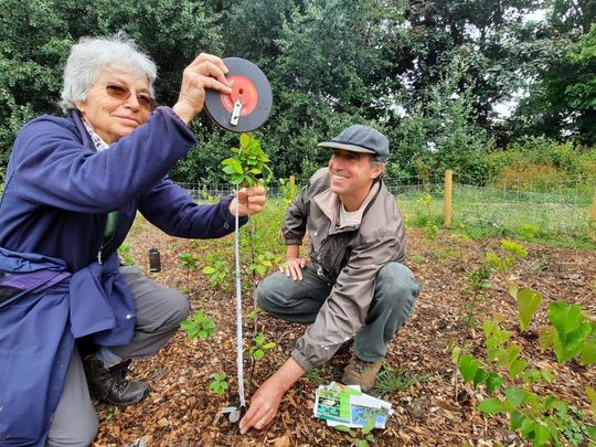 Citizen science at the Tiny Forest