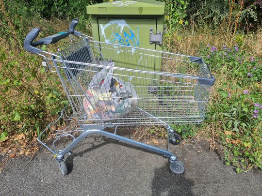 Thank you to Lidl for picking up the trolley