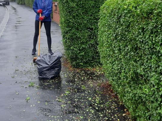 Trimming in the rain