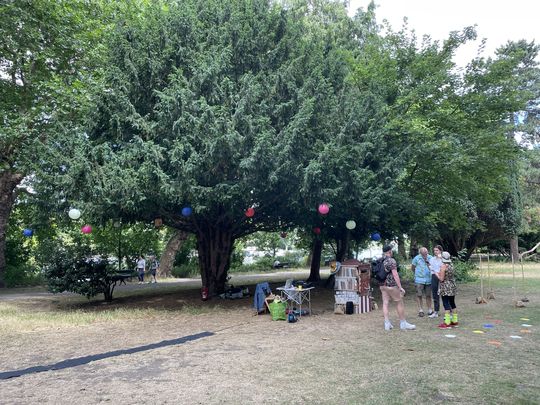 Lanterns in the tree 