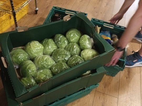 Food Sorting Fun