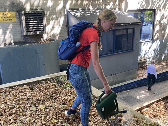 Wild Wednesday watering 