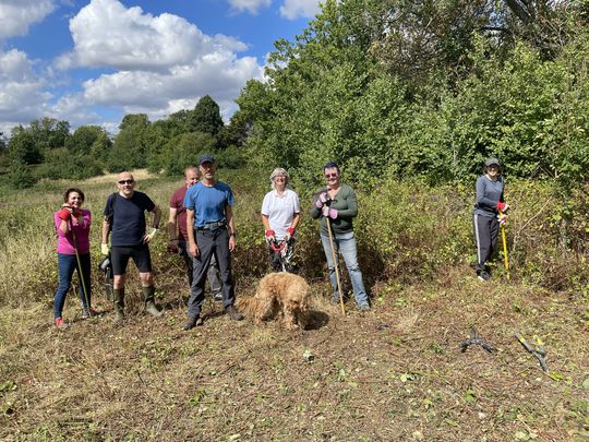 Bashing  the Brambles