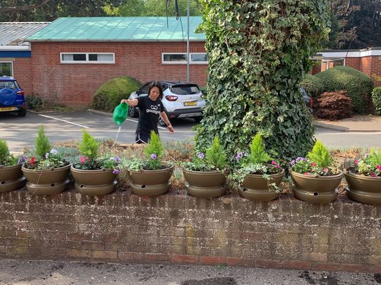 Hanging Bacon Baskets