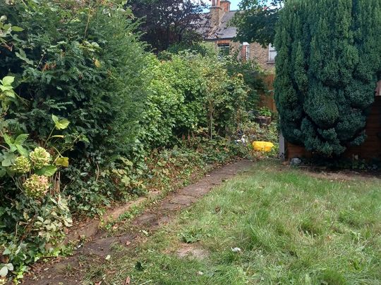 Locking thorns with some brambles