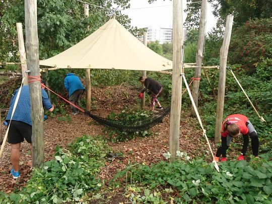 Going back to our roots at Global Gardens