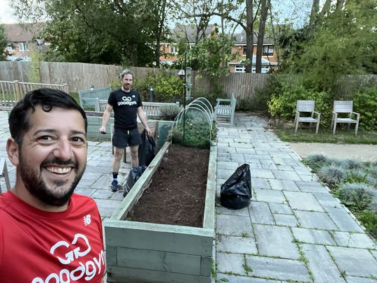 Strawberry planters 