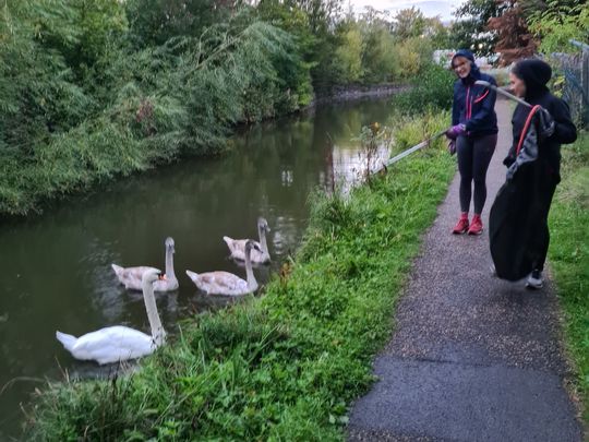 Get by with a litter help from our friends