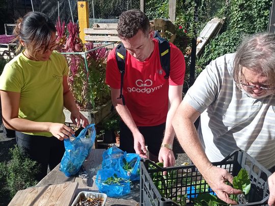 Mulch, walks and a harvest