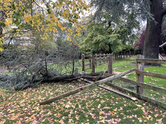 Storm decimates and closes park.