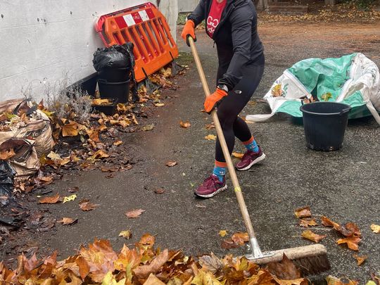 Leafed muddy! 