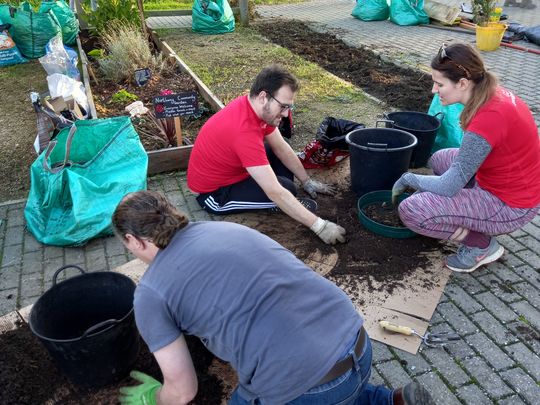 Sieving soil and raising beds