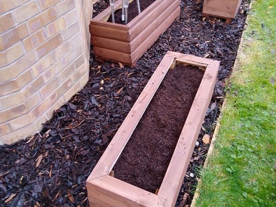 Bulbs, bark and boxes