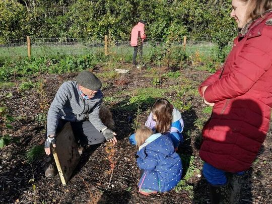 Family citizen science at Tiny Forest Barnet