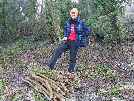 ❄️Sawing in a Winter Woody-land ❄️