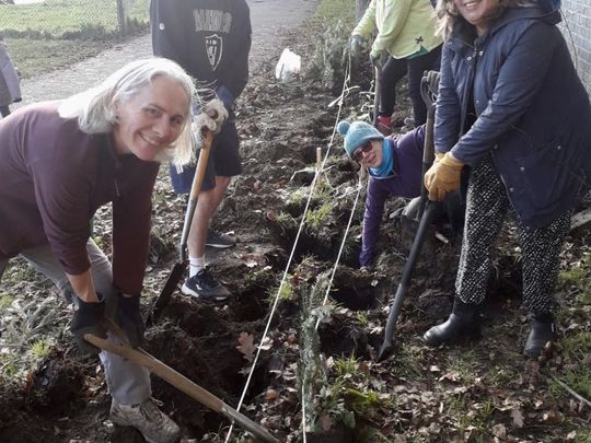 H-edging our way towards a greener Bromley!