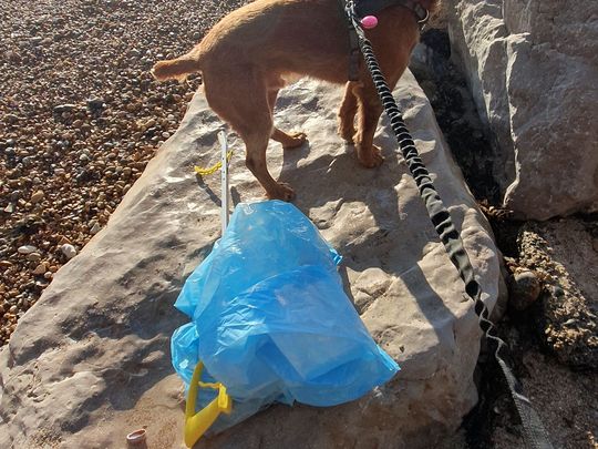 Bagging it up - only blue sky in sunny Worthing 