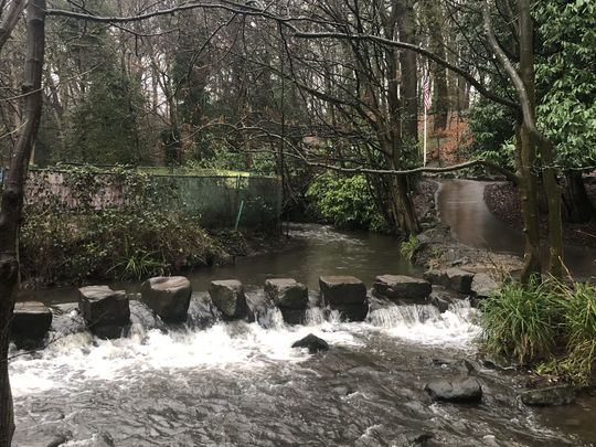 Parkrun, come rain or high water