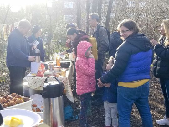 Barnwood community forest garden 